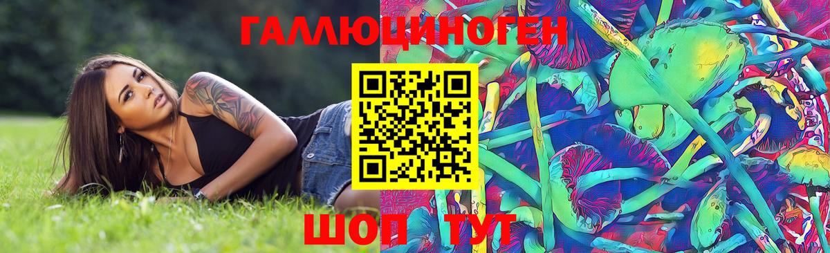 Псилоцибиновые грибы мицелий Новошахтинск