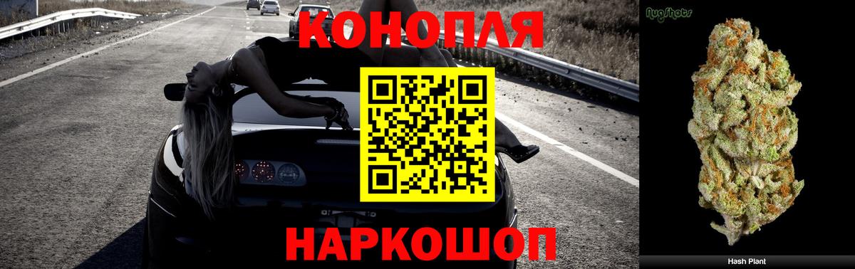 Каннабис семена Новошахтинск
